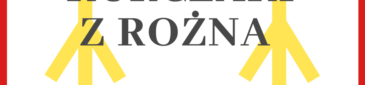 HACCP dla kurczaków z rożna