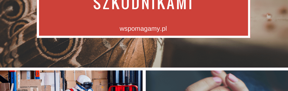 Ochrona przed szkodnikami w gastronomii